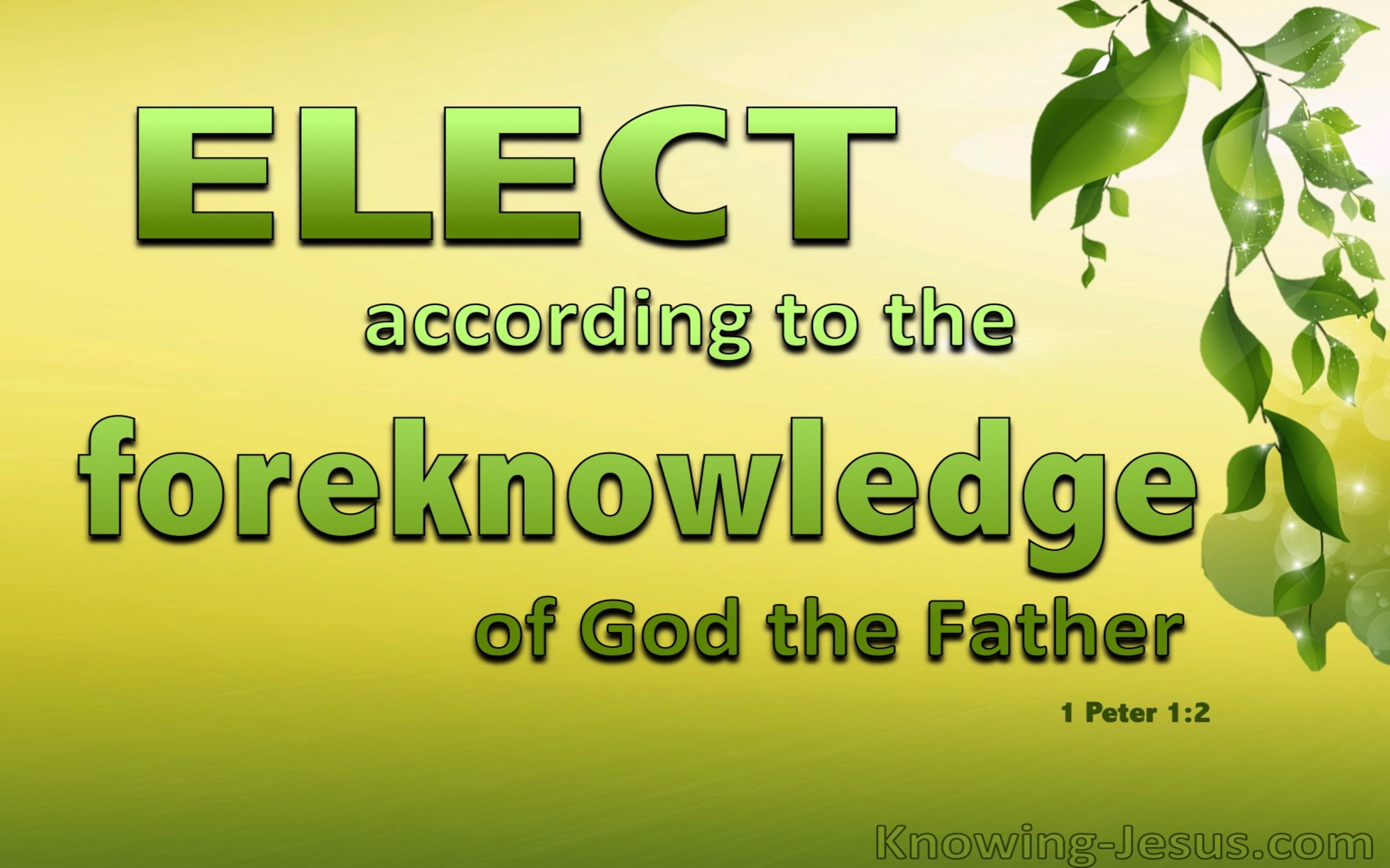 1 Peter 1:2 Elect According To the Foreknowledge of God (yellow)